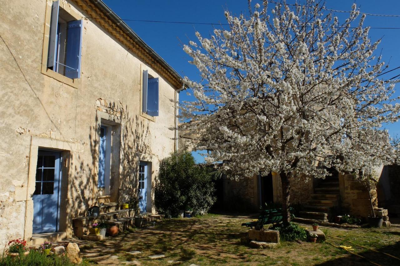 Chambres D'Hotes Dans Maison D'Artiste Galargues Екстер'єр фото